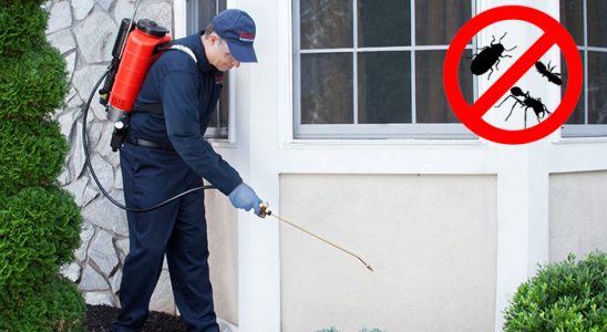 Yazıhan Kene İlaçlama böcek ilaçlama ve haşere kontrolü — ilaclama-tr.com